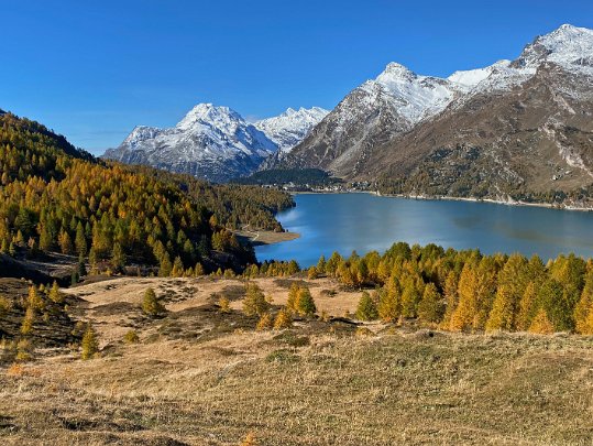 Sils-Maria - Grevasalvas Grisons - Suisse